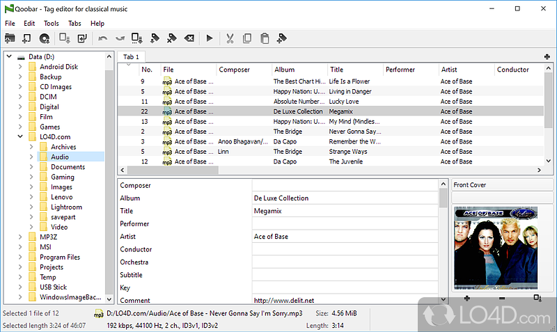 Organize music collection fast and efficiently with a large variety of tag fields to fill in - Screenshot of Qoobar