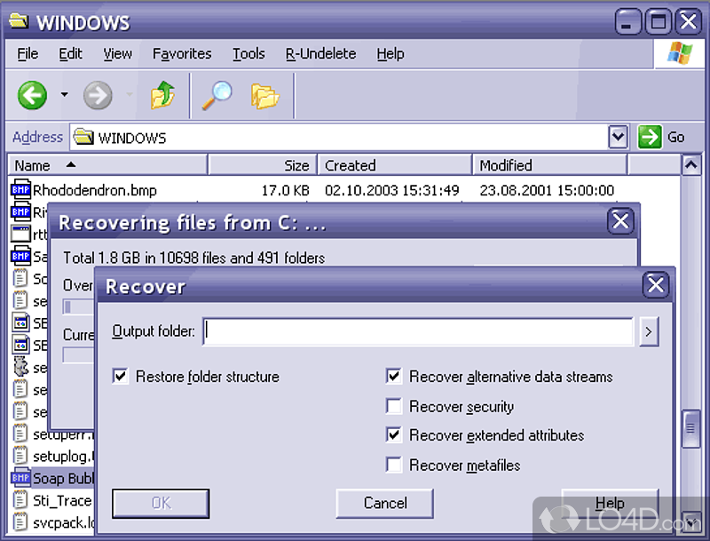 Recover deleted files FAT, NTFS, NTFS5 and Ext2FS files - Screenshot of R-Undelete