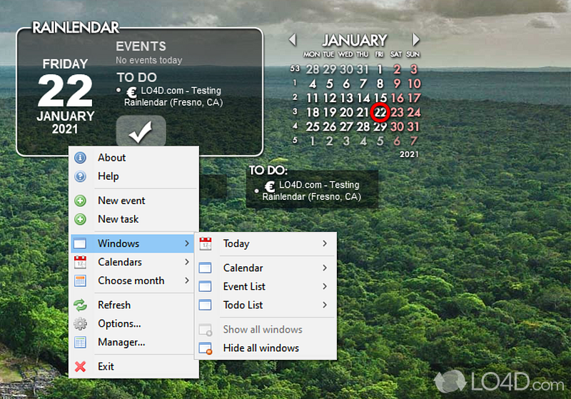 Beautiful calender and personal organizer with customization - Screenshot of Rainlendar Lite