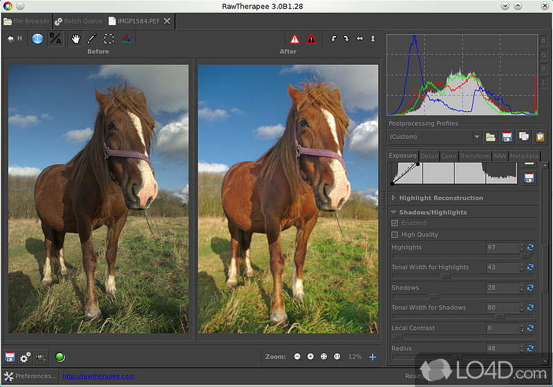 Free, easy editor for RAW images - Screenshot of RawTherapee