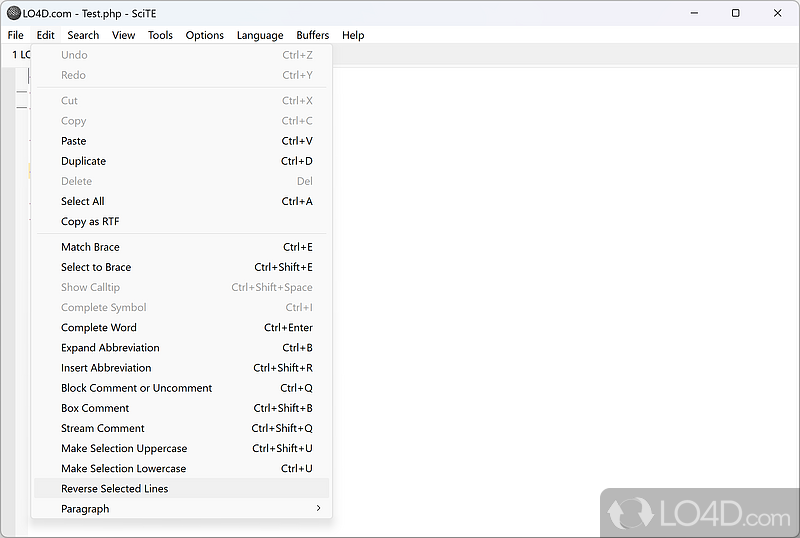 Simple code editor - Screenshot of SciTE