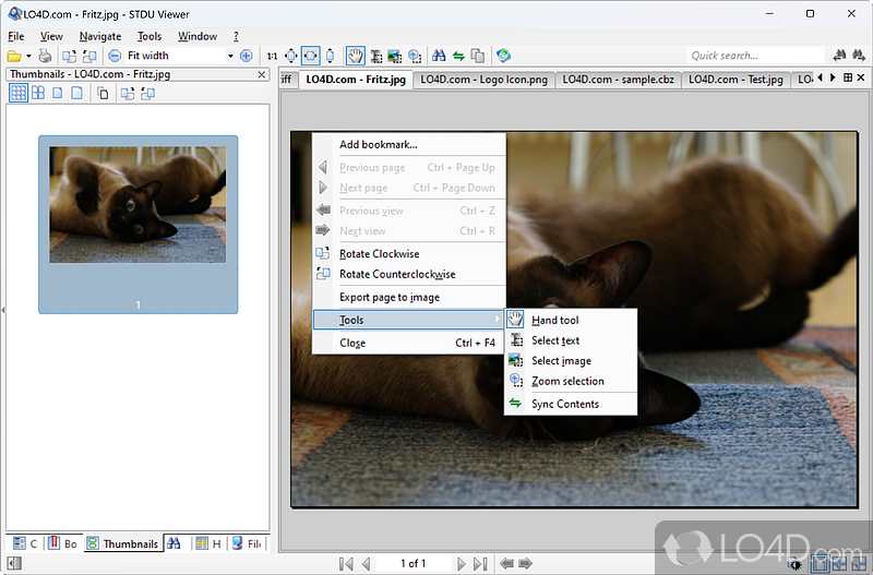 Create bookmarks to quickly access content of interest - Screenshot of STDU Viewer