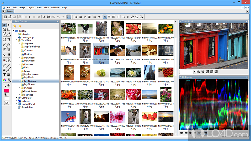Photo viewer with support for layers and editing tools - Screenshot of StylePix