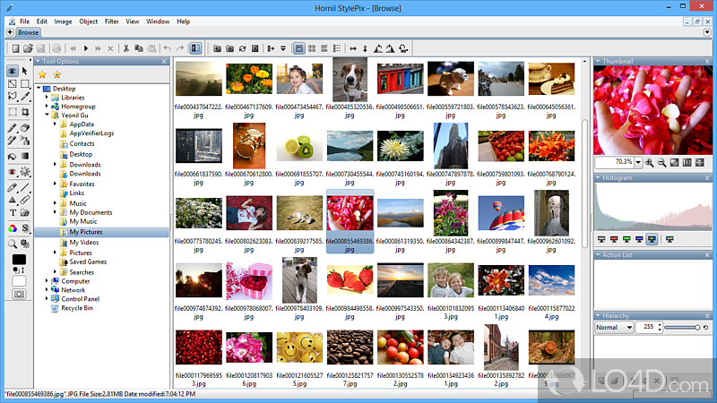 Graphics editing software utility that enables users to enhance their photos by adding shapes - Screenshot of StylePix