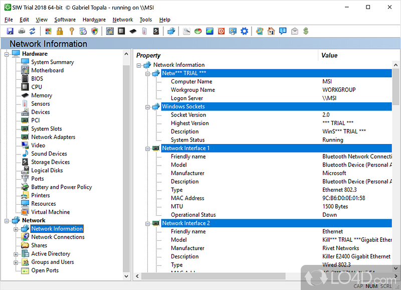 System Information for Windows - Screenshot of System Information Tool