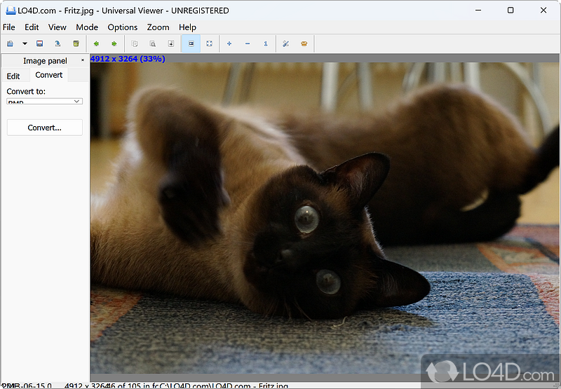 Open files of various types with this tool, such as images - Screenshot of Universal Viewer Pro