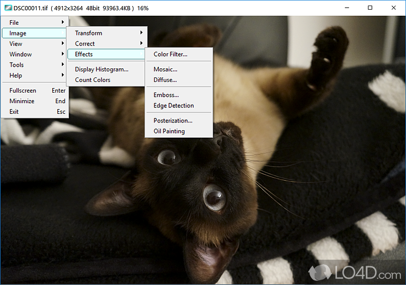 Resize, crop, color correction, histogram, and more - Screenshot of Vieas