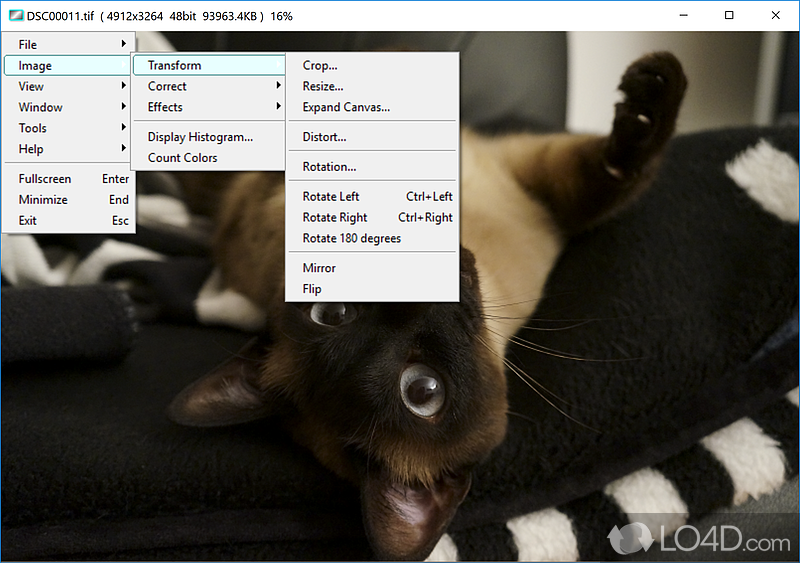 Image editor with a surprisingly rich set of features for photo effects, crop, resize, color correction - Screenshot of Vieas