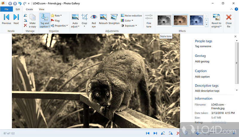 Auto photo tweaks, panoramas, fusing, collages, and sharing - Screenshot of Windows Photo Gallery