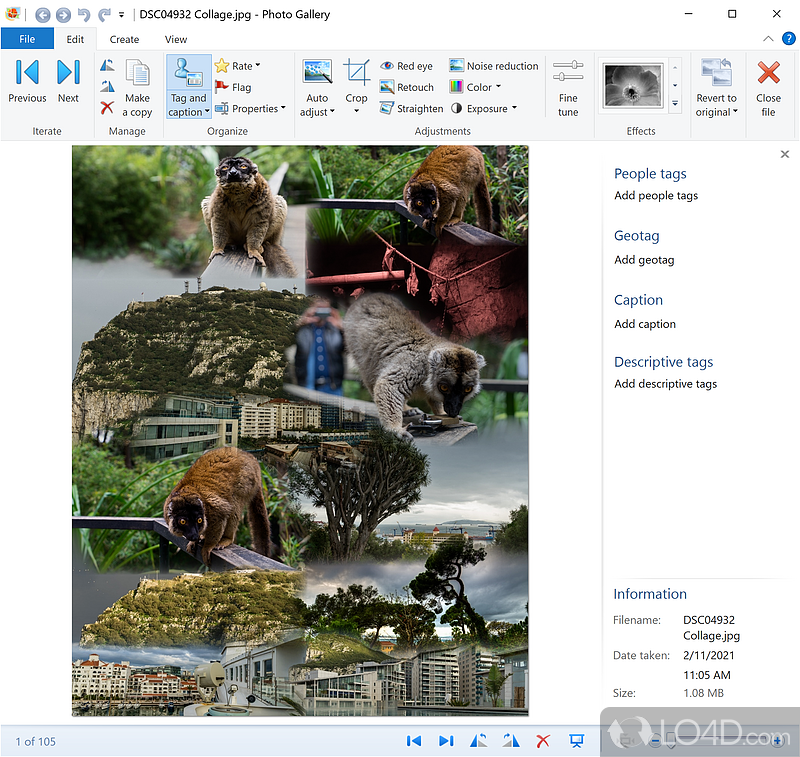 Make your photos really stand out with powerful and editing tools - Screenshot of Windows Photo Gallery