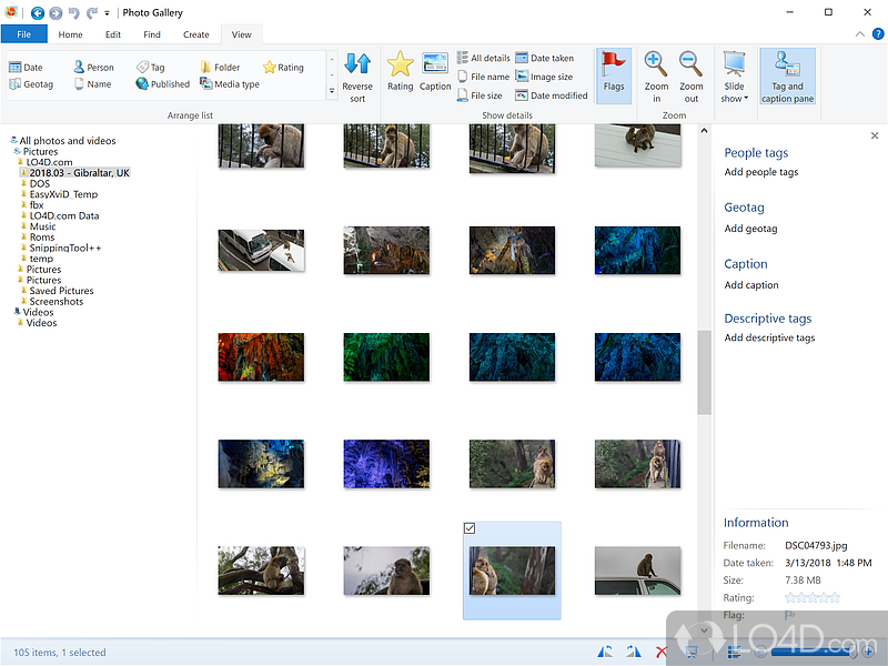 Windows Photo Gallery: Movie Maker - Screenshot of Windows Photo Gallery