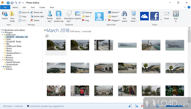 Organize photos and videos, edit them or apply special effects - Screenshot of Windows Photo Gallery