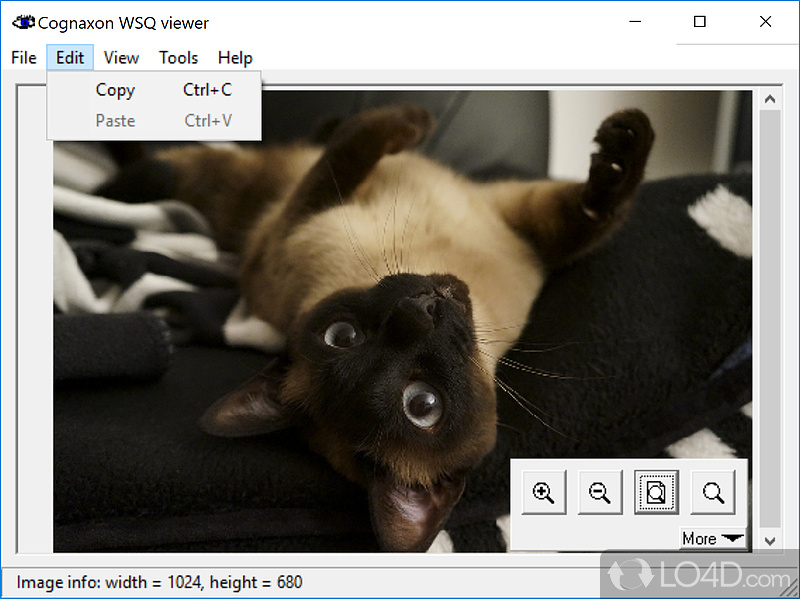 Powerful integrated image converter - Screenshot of WSQ viewer