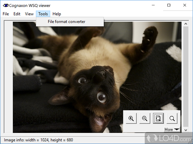 WSQ viewer: User interface - Screenshot of WSQ viewer