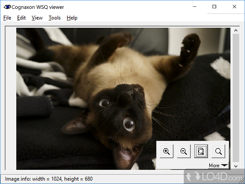 Visuals design and file support - Screenshot of WSQ viewer