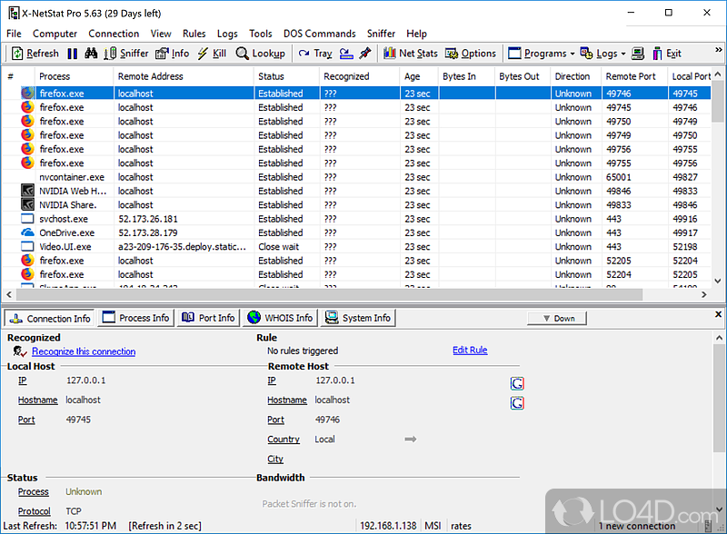 Monitor Internet and network connections - Screenshot of X-NetStat Professional