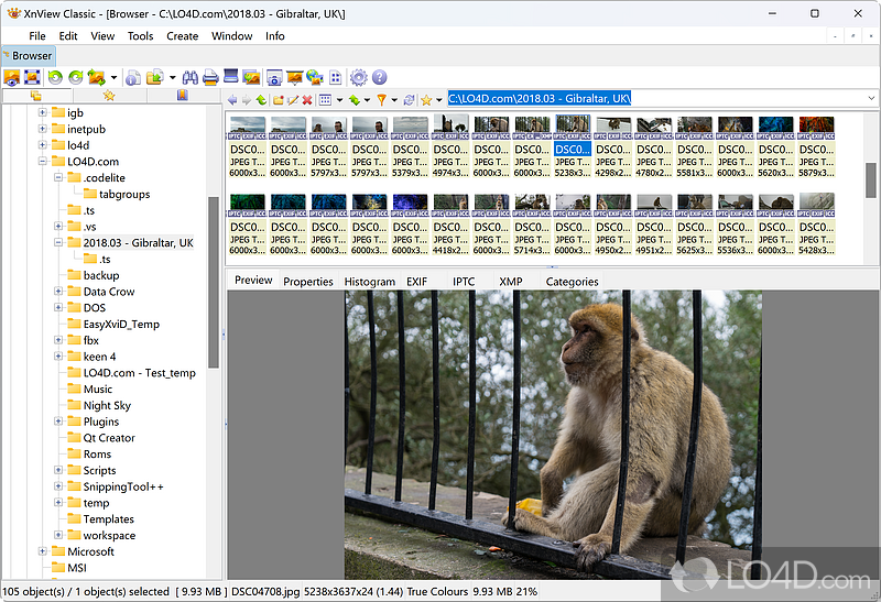 Image viewer and manipulation tool - Screenshot of XnView Extended