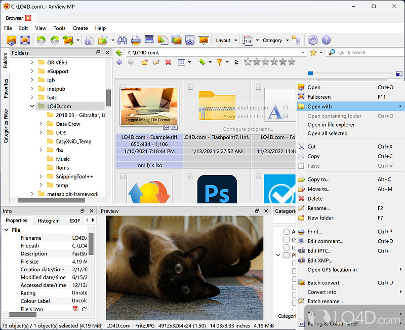 File browser focused on images - Screenshot of XnView MP