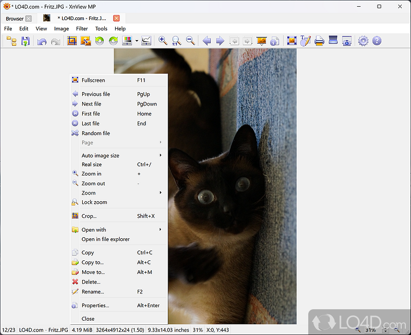 Powerful image viewer and organizer which converts and enhances - Screenshot of XnView MP