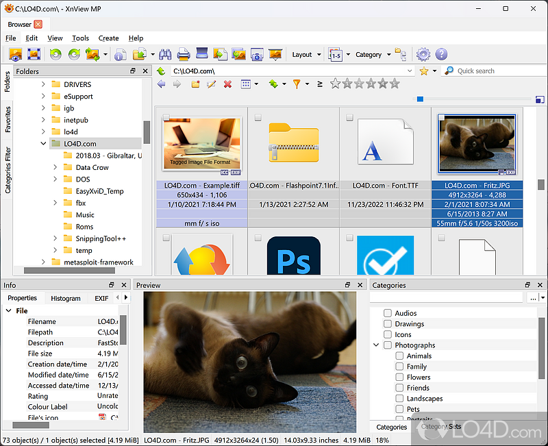 File manager that can handle over 500 file formats - Screenshot of XnView MP