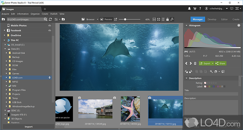 Organize photos using dedicated features - Screenshot of Zoner Photo Studio X
