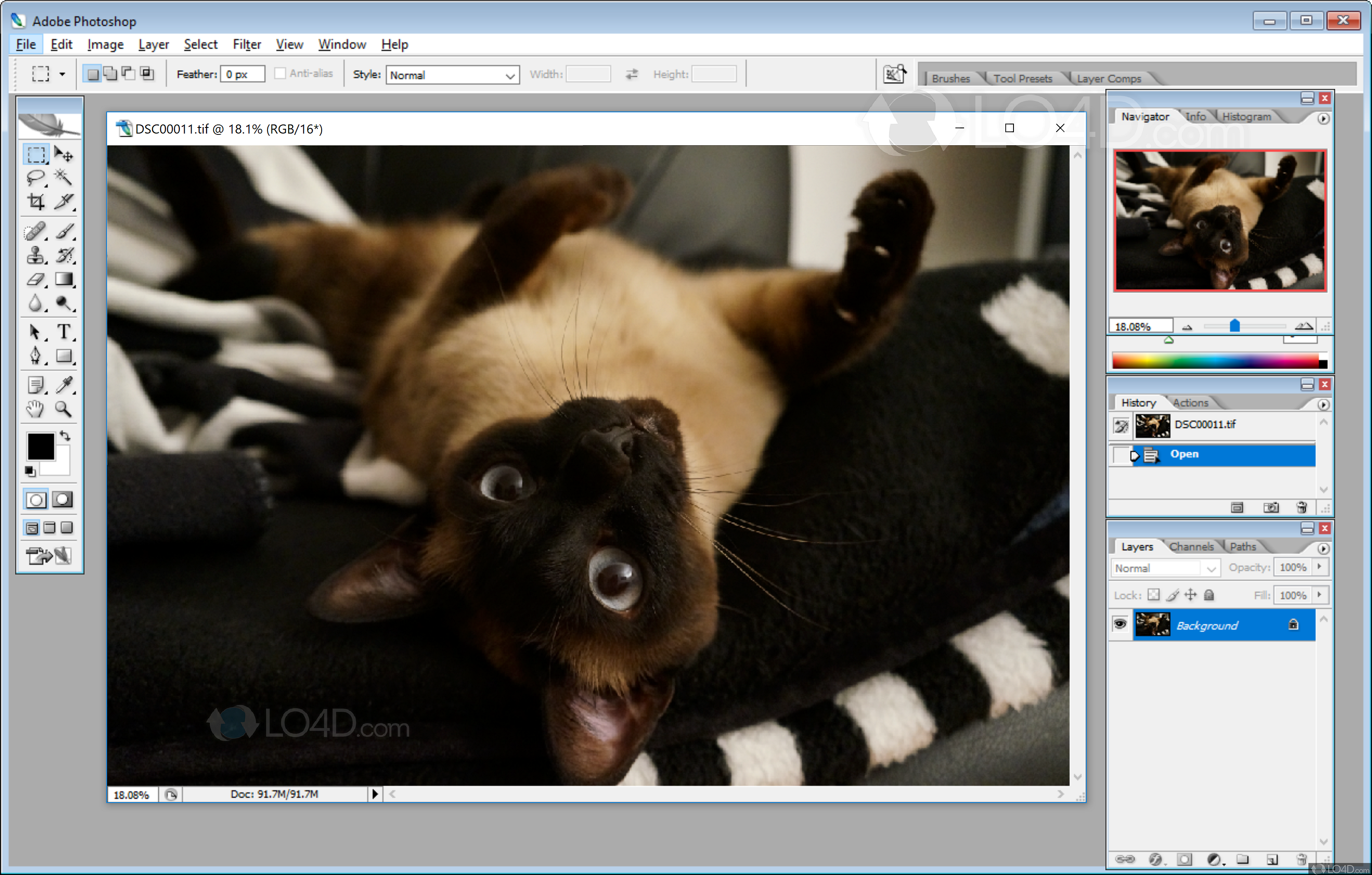 adobe photoshop cs2 for windows 8