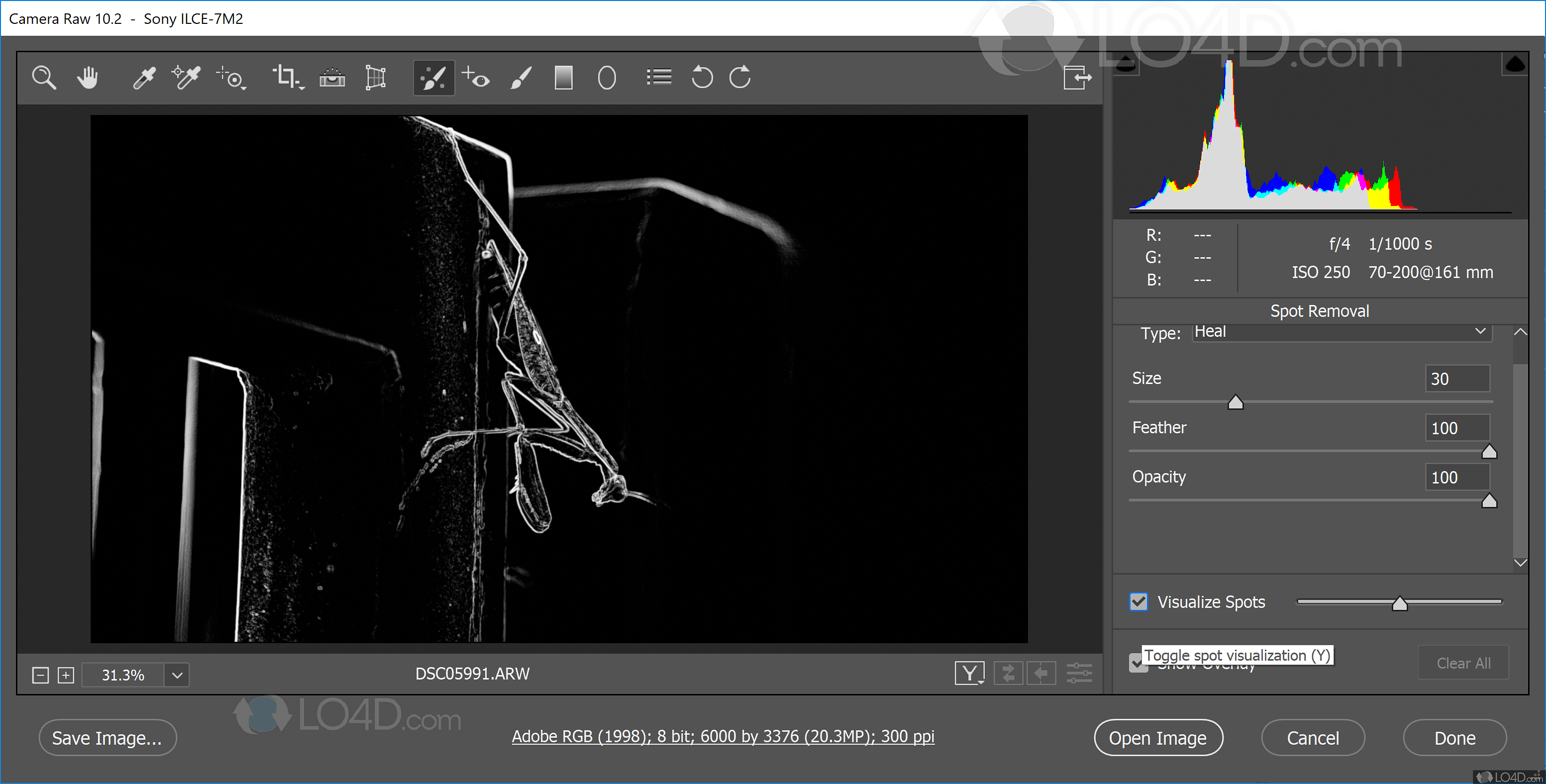 Camera Raw For Photoshop Download