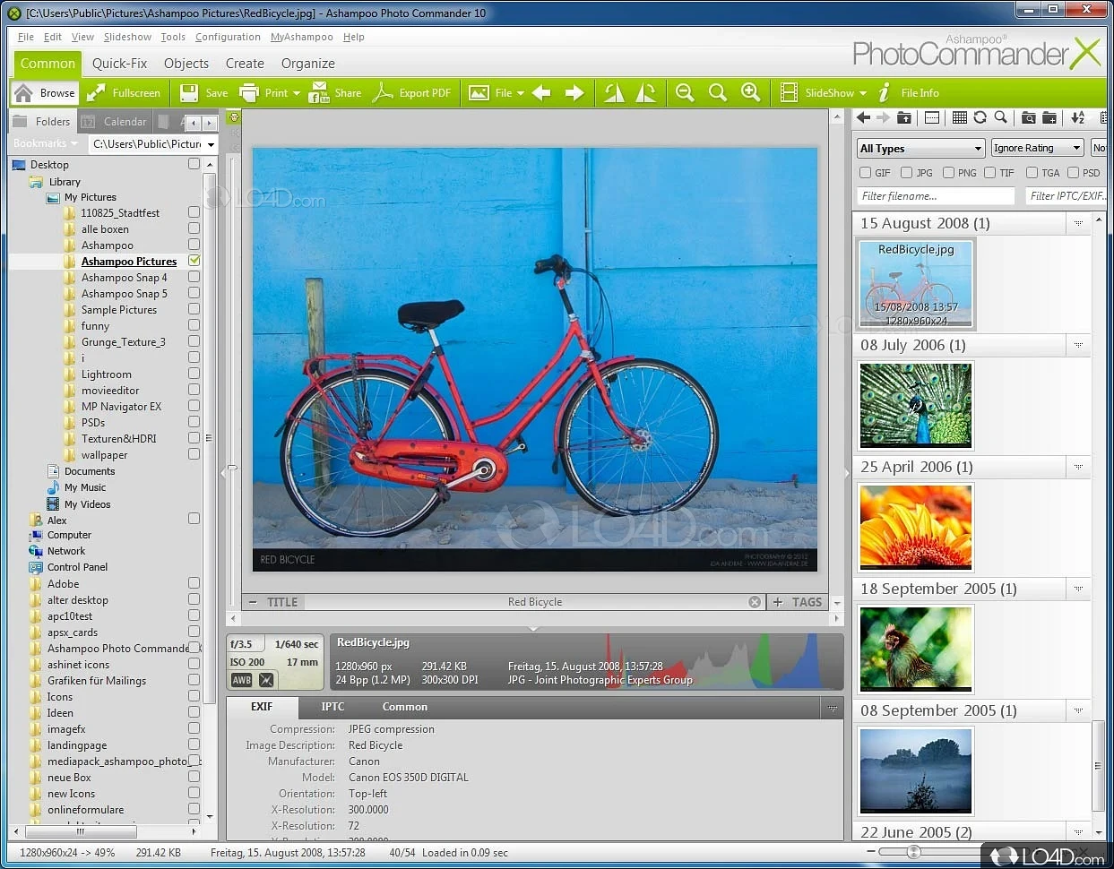 Support for multimedia tracks and view their metadata - Screenshot of Ashampoo Photo Commander
