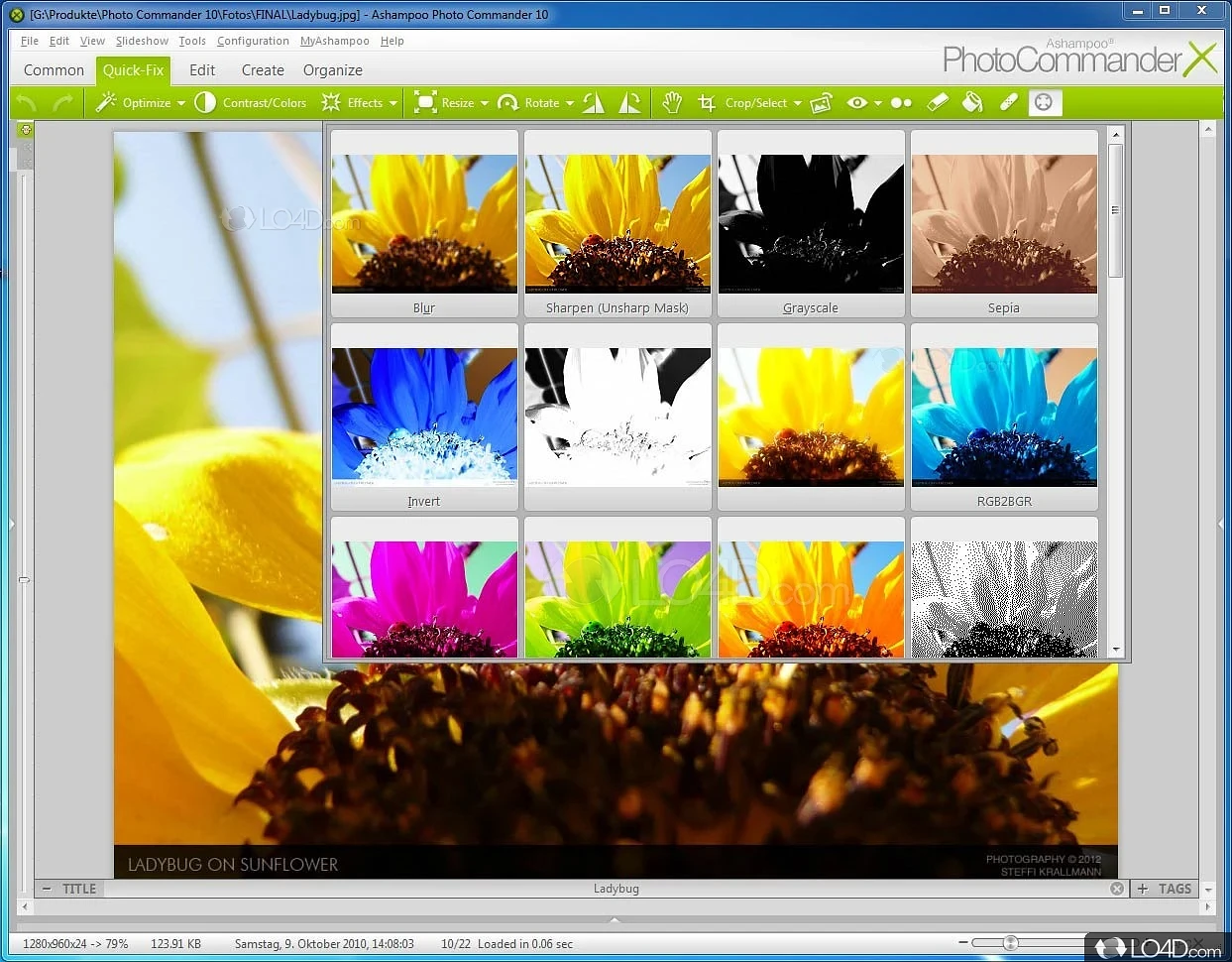 Adjust and enhance images - Screenshot of Ashampoo Photo Commander