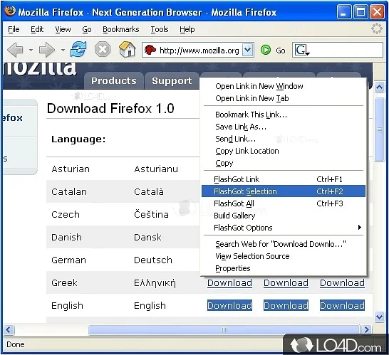 FlashGot for Firefox: User interface - Screenshot of FlashGot for Firefox