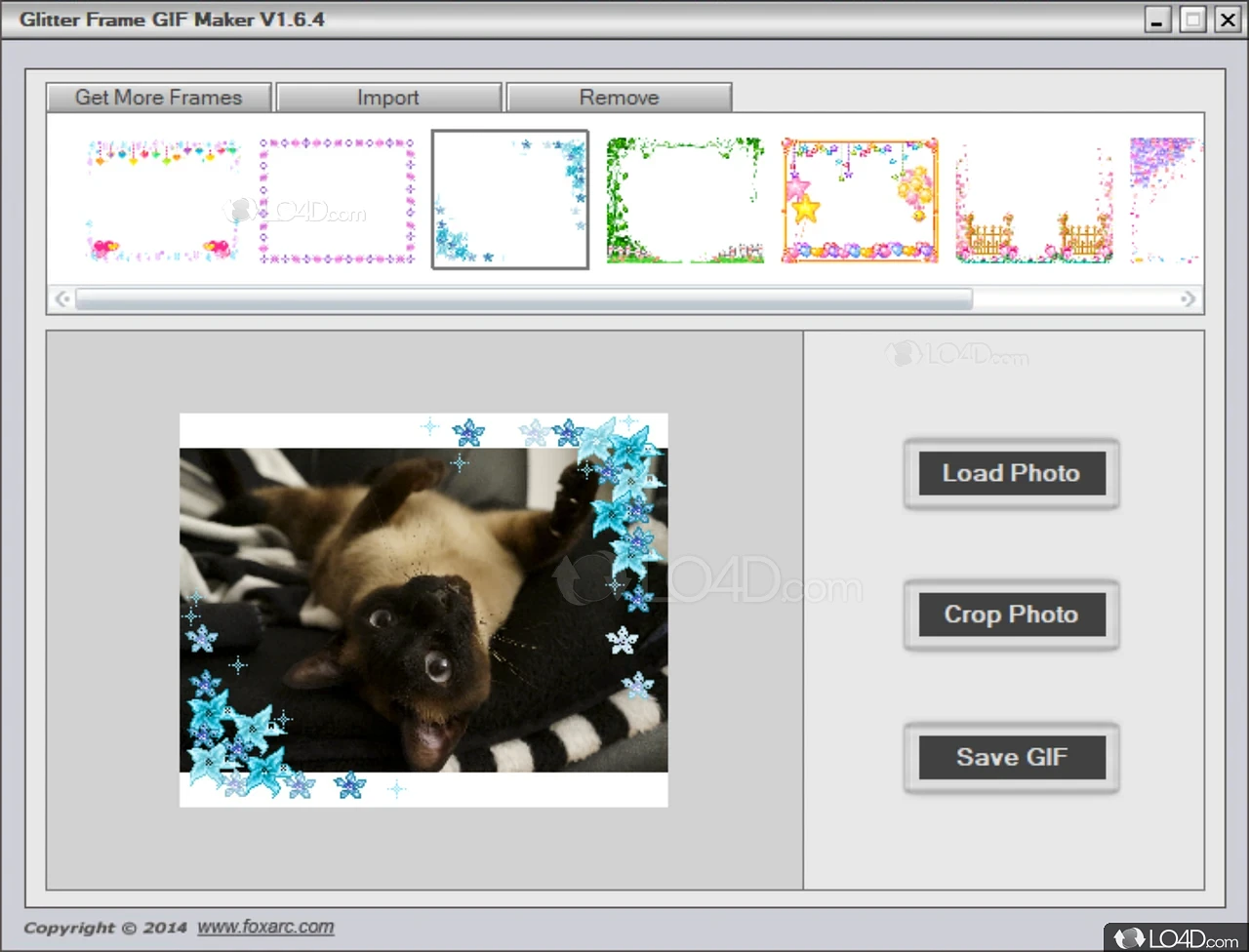 Glitter Frame GIF Maker for Windows - Download it from Uptodown