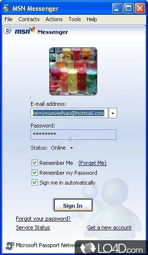 MSN Messenger: User interface - Screenshot of MSN Messenger