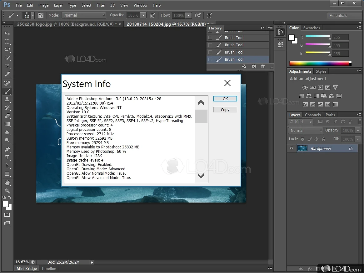 逆輸入 Adobe Photoshop Windows版 cs6 その他 - zoopalic.com