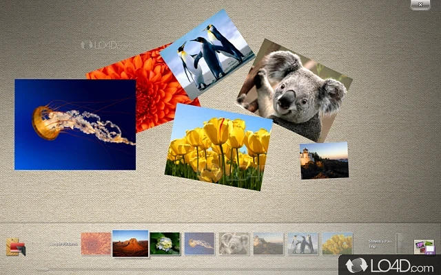 Multi-touch picture viewer - Screenshot of Microsoft Touch Pack