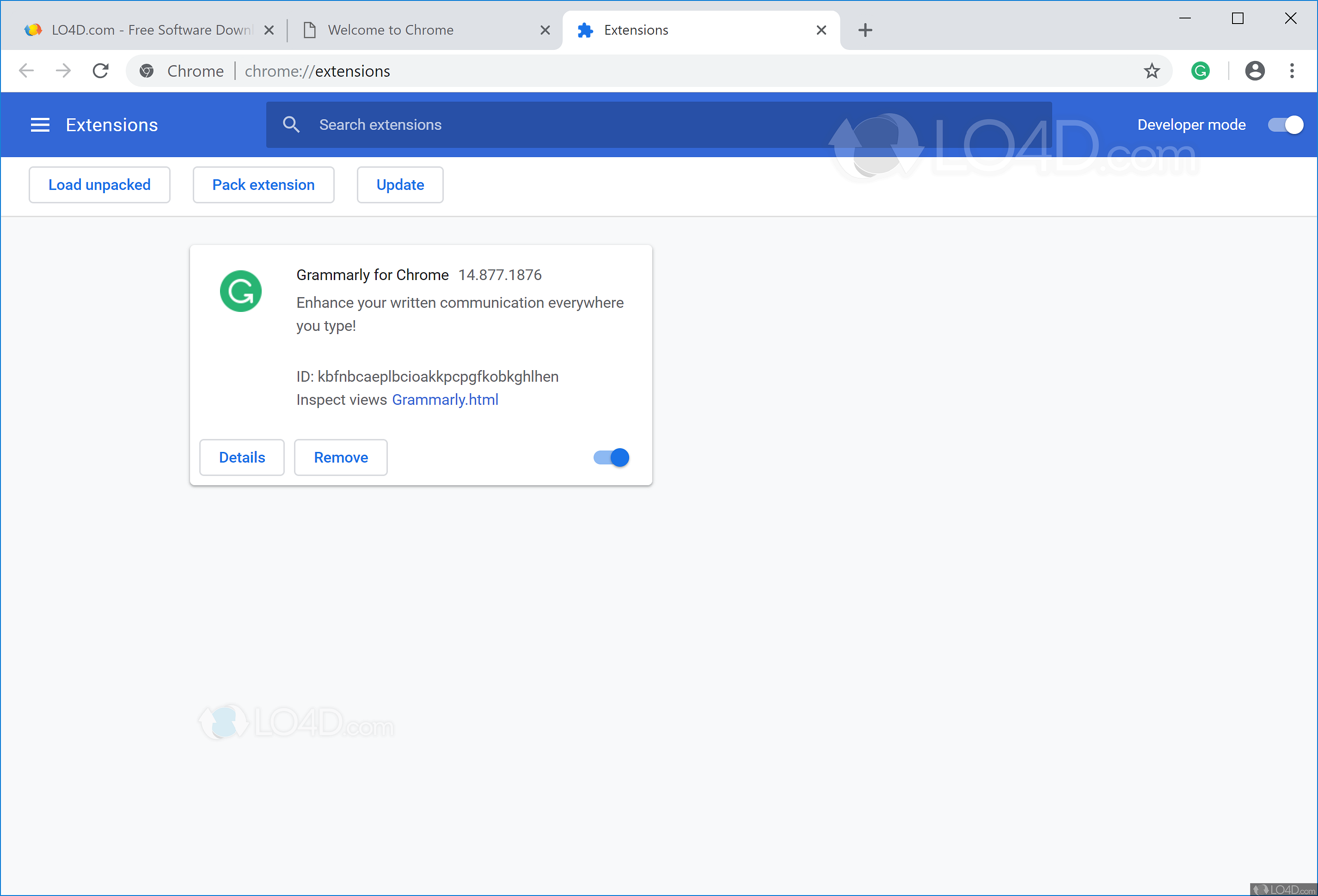 Google Chrome Portable Download Google Chrome Portable Download