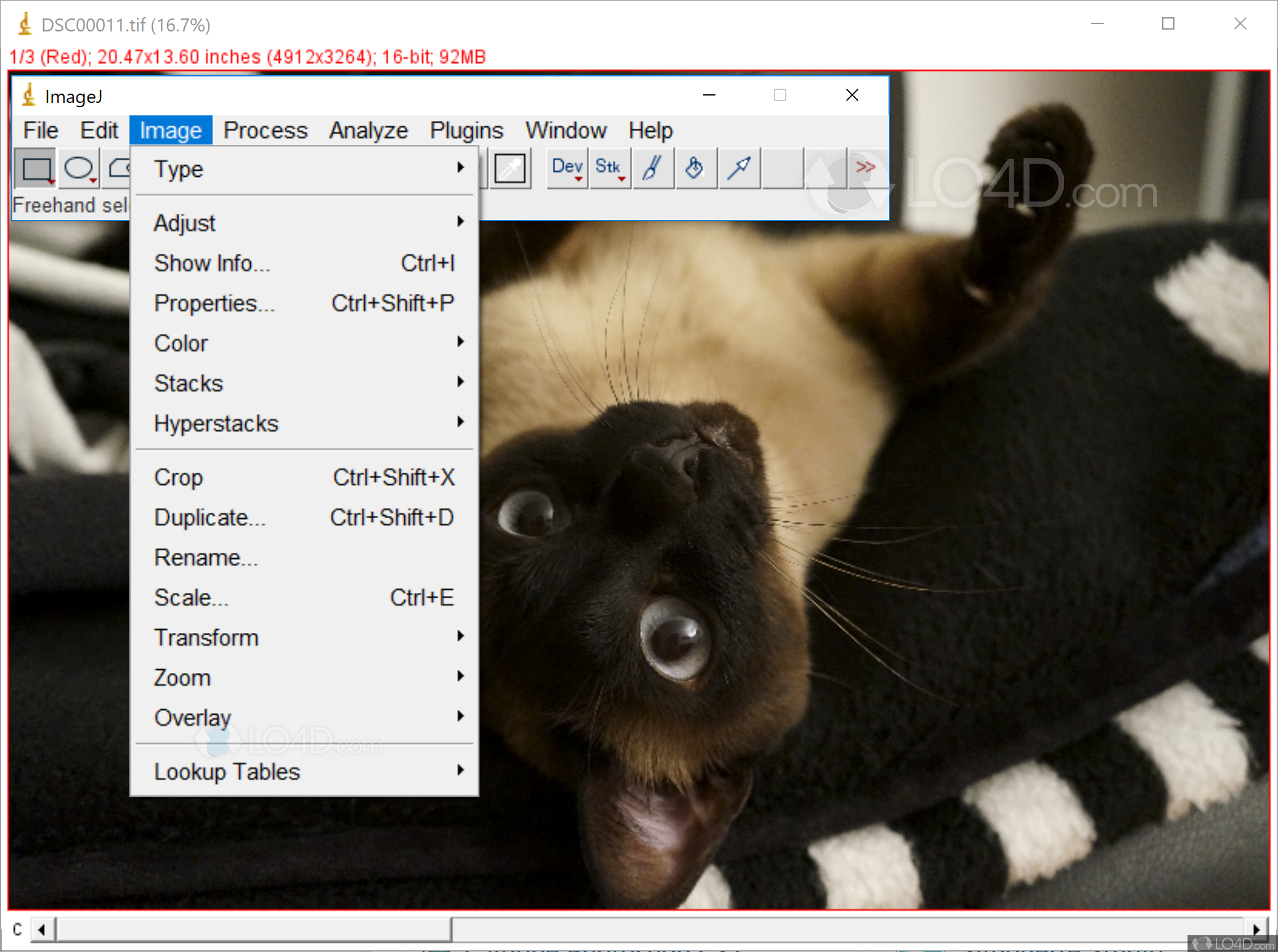 Imagej For Windows Lo4dcom
