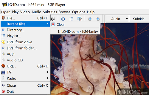 3GP Player 2007 Screenshot