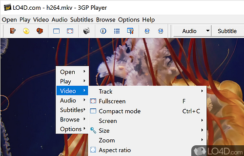 Play media files, radio or TV - Screenshot of 3GP Player