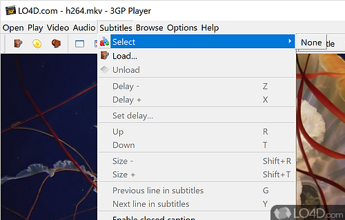 User interface - Screenshot of 3GP Player
