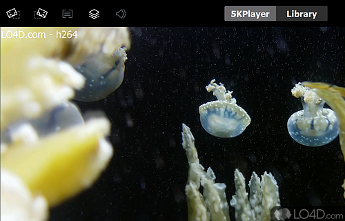Intuitive and neatly-organized interface - Screenshot of 5KPlayer