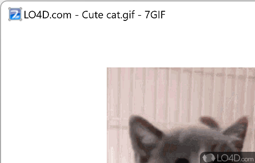 7GIF Screenshot