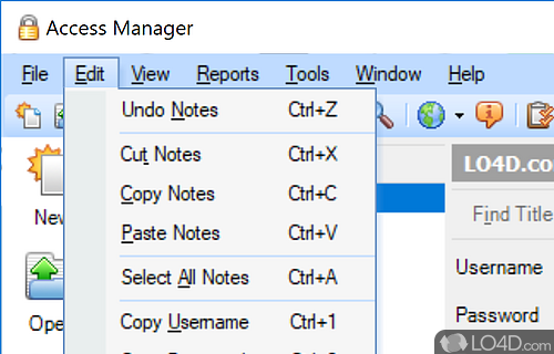 Importing password data and other handy tools - Screenshot of Access Manager