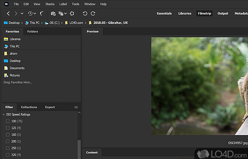Adobe’s free media manager for your creative works - Screenshot of Adobe Bridge
