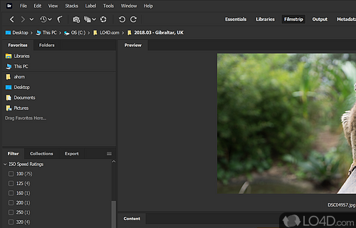 Adobe Bridge Screenshot