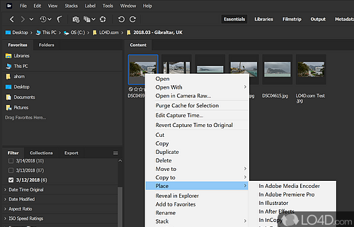 Adobe Inc - Screenshot of Adobe Bridge