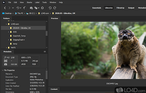 Adobe Bridge Screenshot