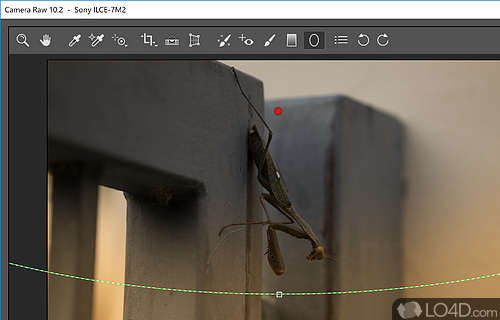 Adobe Camera Raw Screenshot