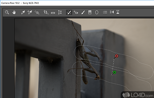 Open and edit RAW images in Photoshop - Screenshot of Adobe Camera Raw