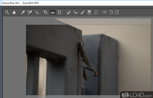 Photoshop - Screenshot of Adobe Camera Raw