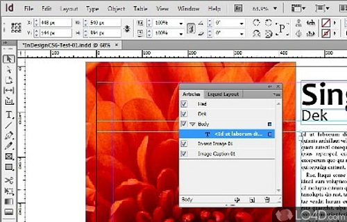 Adobe InDesign Screenshot